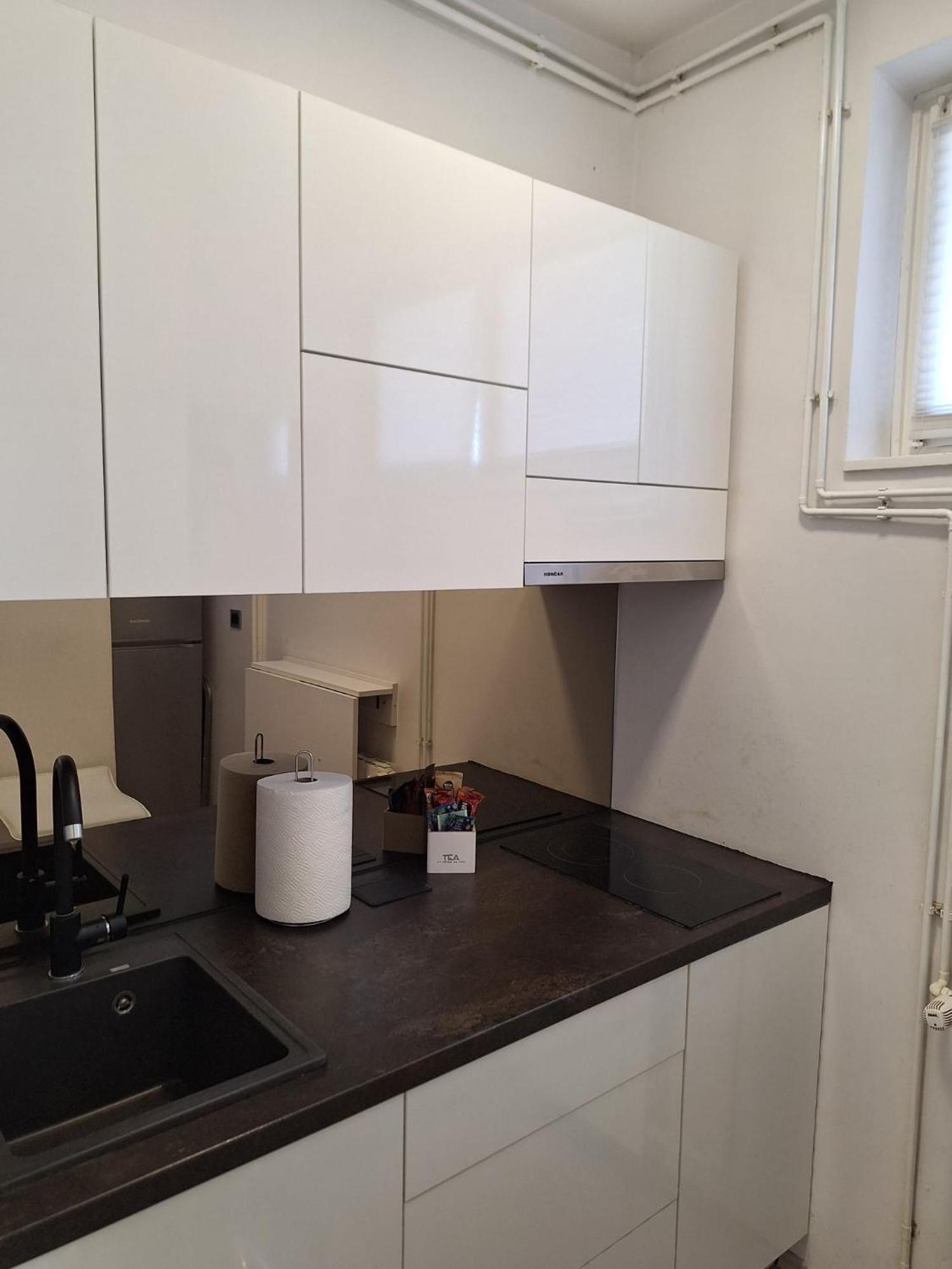 Apex Penthouse Self Check-in Karlovac
